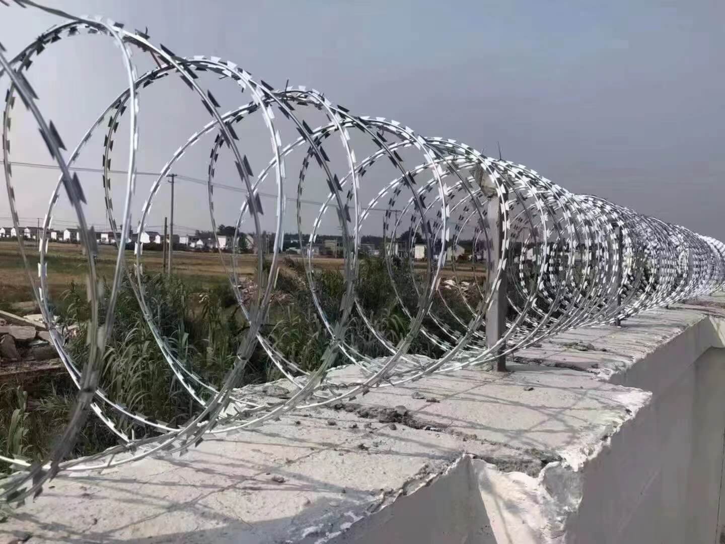 Filo spinato galvanizzato per recinzioni, rete metallica Razor